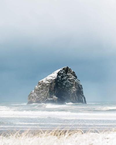 FB_IMG_1677357686643