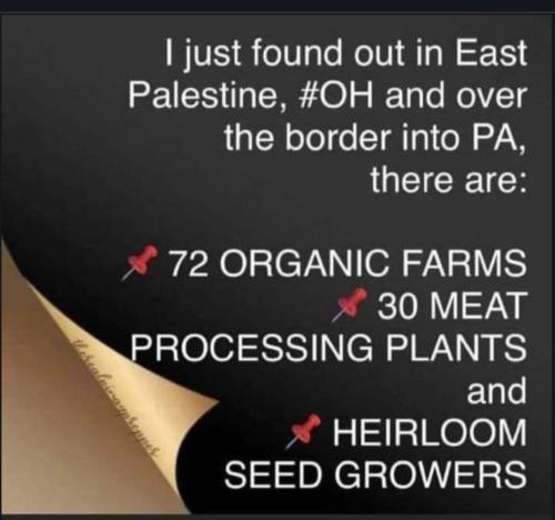 Screenshot_20230225_174059_Chrome