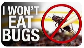 Bugs 1