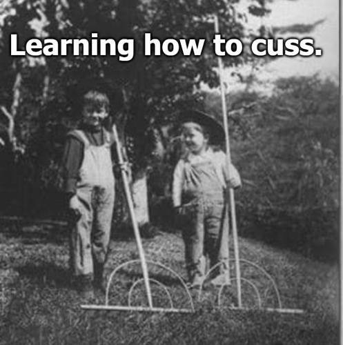 Learning to cuss