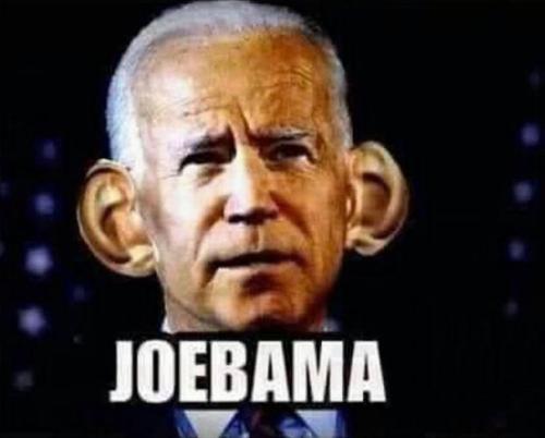 biden1223