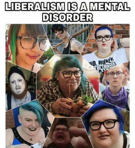 Screenshot_20230227_123531_Quora