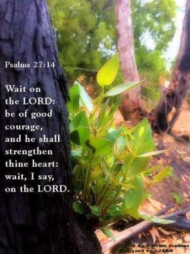 4ef312e7-75ab-44aa-bf71-e856e82c0c2c