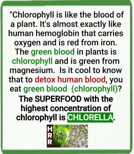 10:17:27 GMT-0500 (EST)