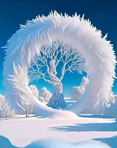 FB_IMG_1677443629869