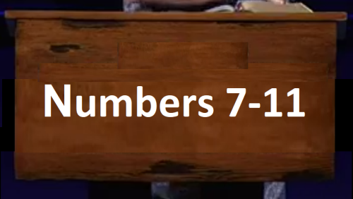 Numbers 7-11! 02 02 2023