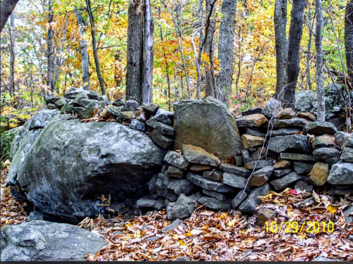 Screenshot_20221020-090547-080~2