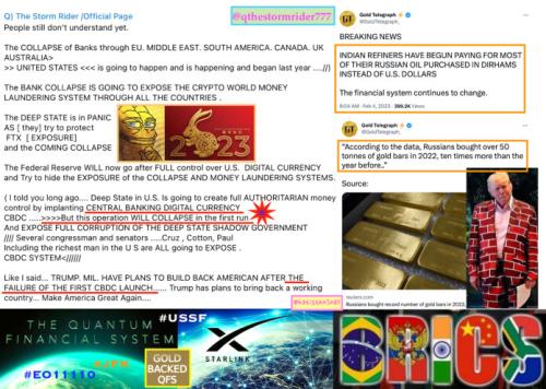 QTSR-DSDC-Gold-backed-Kat