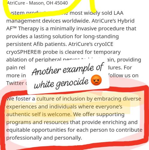 orca-image--112310562