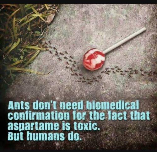 Screenshot_20230210_211922_YouTube