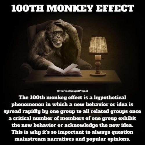 77162fc2-0d18-417f-993b-fe0492e39216