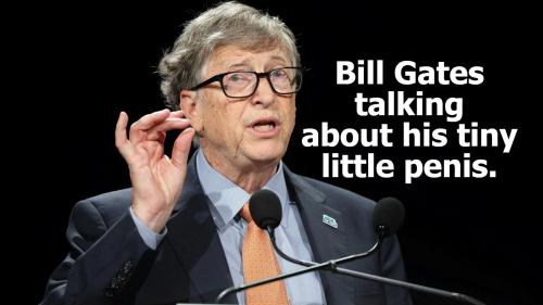 Bill Gates my little pony