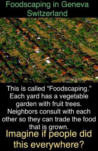 IMG_20230207_121951_035