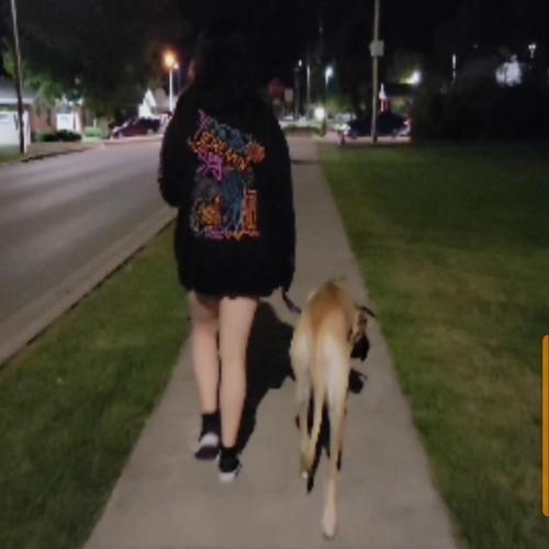 b9f09197-7959-422f-947b-882cbe6417bf