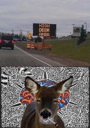 FB_IMG_1677281448897