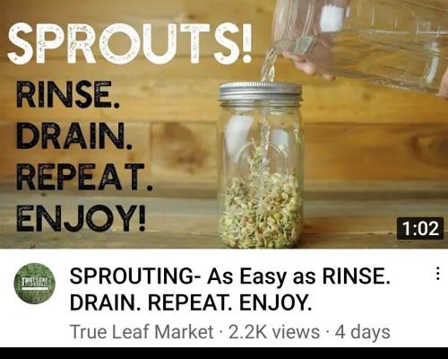 19:46:17 GMT-0500 (EST)