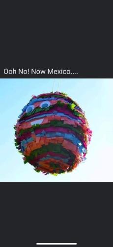 FB_IMG_1675805030950