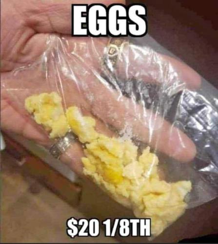 FB_IMG_1675621400594