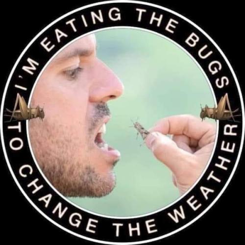 FB_IMG_1675274564962