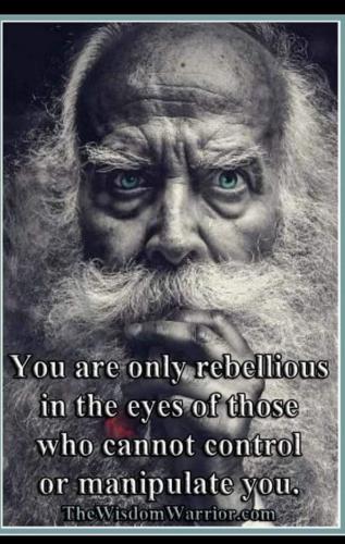 FB_IMG_1676166146068