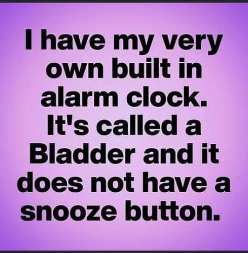 332301846_866035784693500_9222729907186432962_n