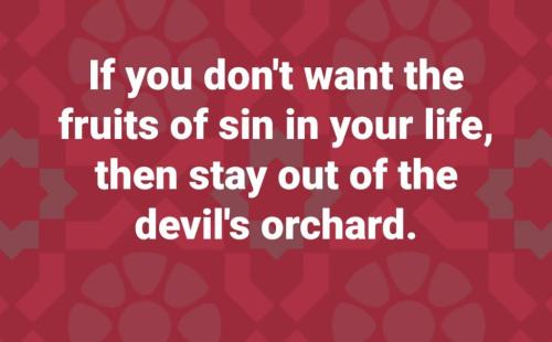 3bacfc86-a796-493a-b7d8-a84d67ede02c