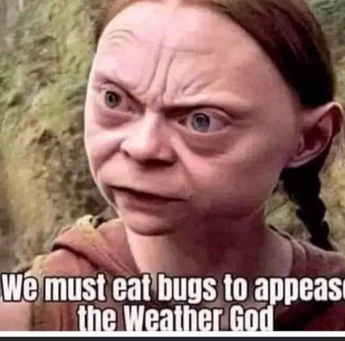 FB_IMG_1675641737788