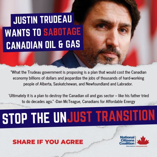 stop the justin transition