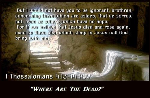 74AF65B7-8C1A-41F9-ADA6-1D3FDDCE2A19