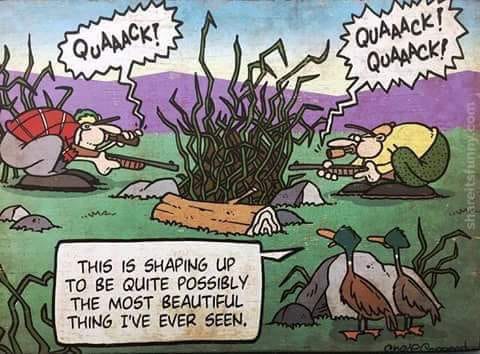 329576803_6040637976024027_8583518598858651258_n