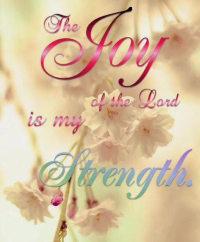 0618cb66-08a0-4c65-8f7d-d8f21f5c9500