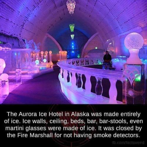 FB_IMG_1677114961114