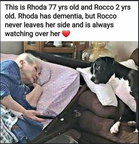 Screenshot_20230214_170535_Chrome