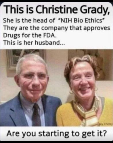 FB_IMG_1677521043352