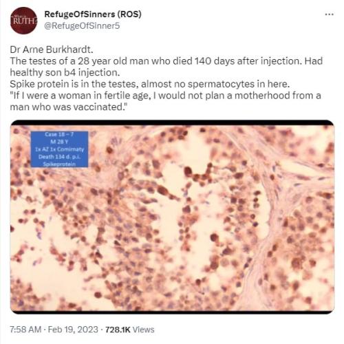 IMG_20230224_003630_513