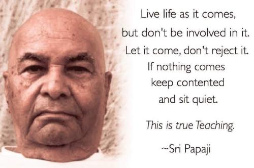 51cCp52jAWL._AC_AC_SR98,95_