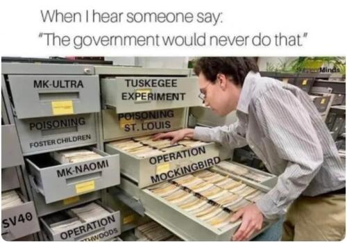 government