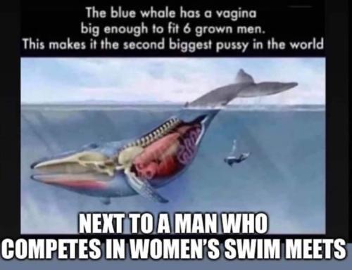 FB_IMG_1675787345074
