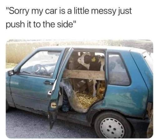 FB_IMG_1677279966457