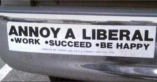 FB_IMG_1676076277500