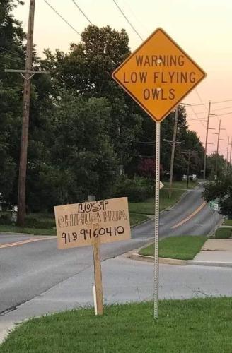 FB_IMG_1676915528584