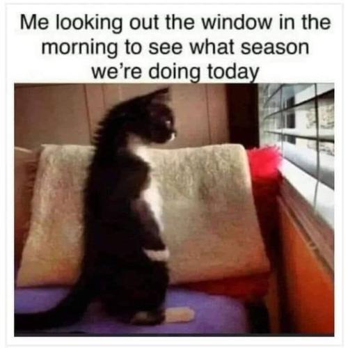 331988606_684305083490522_341942970619033303_n