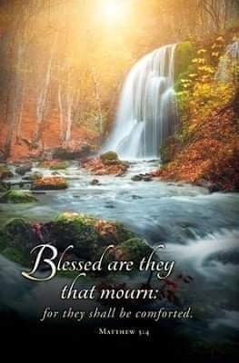 18e9a01f-09b8-452f-8e19-f532435655d1