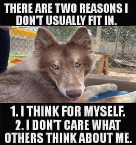 FB_IMG_1675191066016