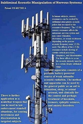 FB_IMG_1675522396412