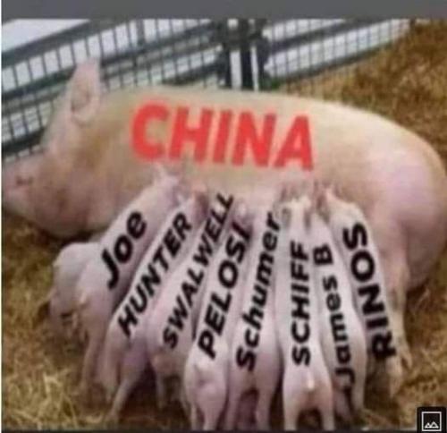 FB_IMG_1677008934528