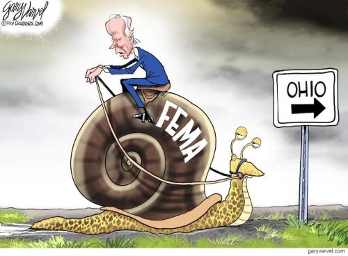 FB_IMG_1677301101452