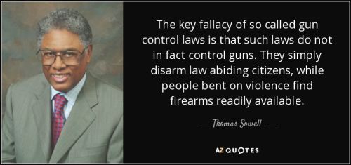 Gun Laws 1