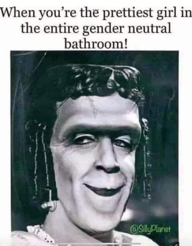 FB_IMG_1677407368213