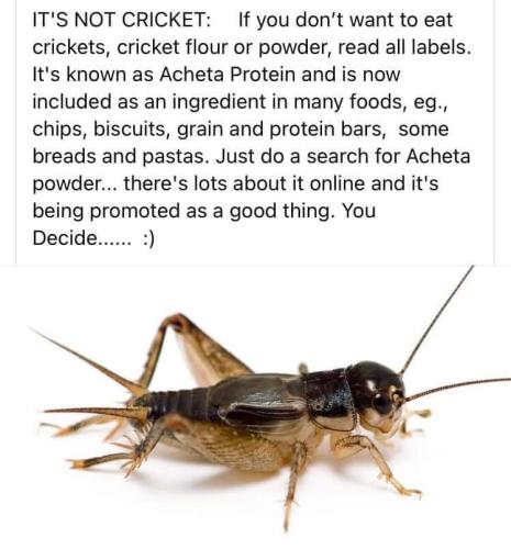 FB_IMG_1676128065597